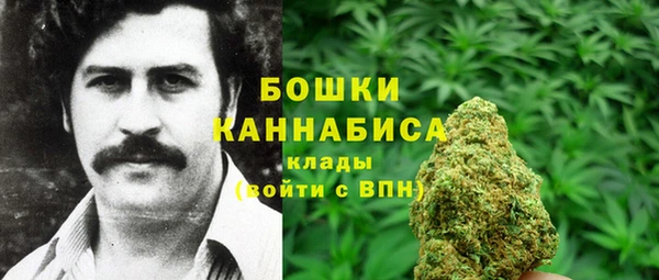 ПСИЛОЦИБИНОВЫЕ ГРИБЫ Приозерск