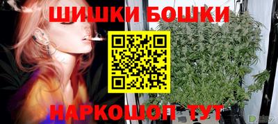 хмурый Гатчина