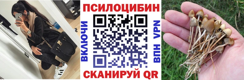 купить наркоту  Лениногорск  Галлюциногенные грибы MAGIC MUSHROOMS 