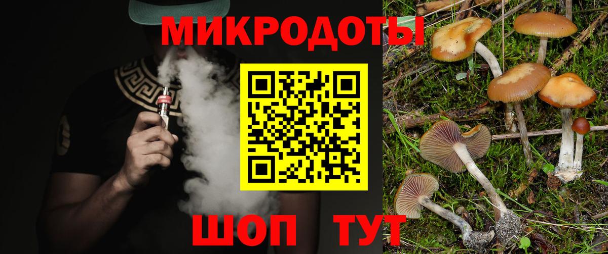 Лениногорск  Псилоцибиновые грибы Psilocybe  Вход с VPN 
